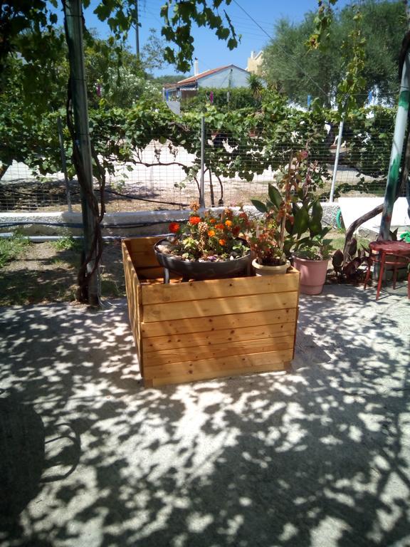 Apartamento Ammos Rodas Exterior foto